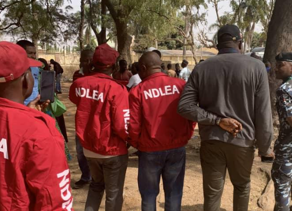 NDLEA Arrests 30 Suspects in Edo State